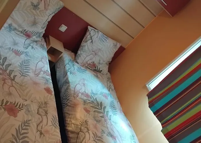 Chez Regis Et Jennifer Camping Boofzheim